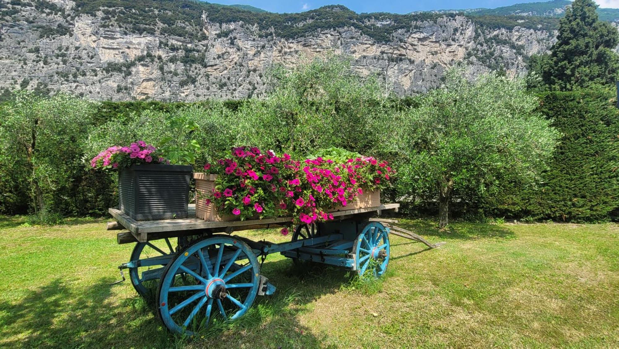 Agriturismo Vin E Amor Dro Buitenkant foto