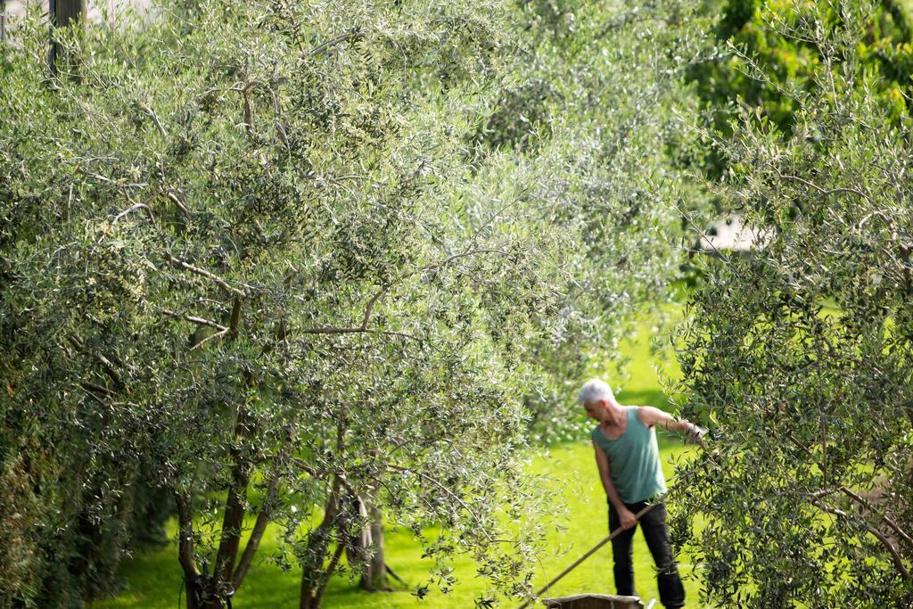 Agriturismo Vin E Amor Dro Buitenkant foto